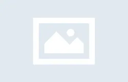 리드넘버X보스몬